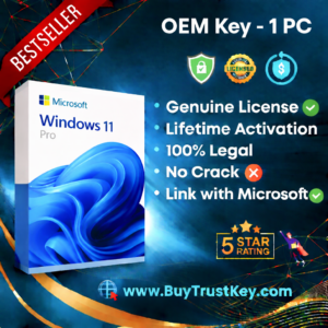 Windows 11 Pro OEM 1PC