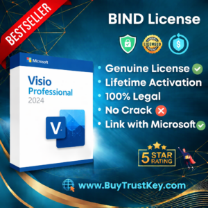 Visio Professional 2024 Bind